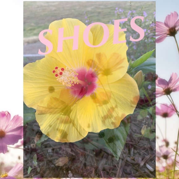 Shoes - Picture 1 of 1